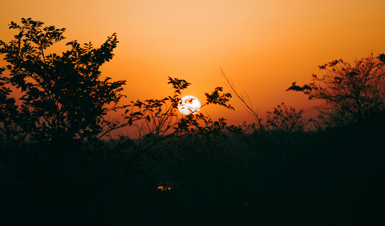 Before Sunset (2004)